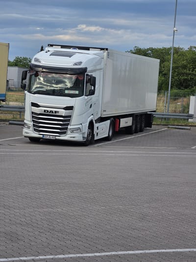 In Flörsheim, Germany, a white DAF tractor-trailer is parked in an outdoor lot with a paver stone surface. The truck has a long, white trailer and the tractor has a prominent chrome grille with the DAF logo. A license plate on the front of the tractor reads "CLP BL 403". There is a sign on the windshield that says "ARTUR". The truck is positioned at an angle, facing towards the right side of the frame. In the background, there are trees, a fence, and a street lamp with a security camera attached. The sky is overcast with clouds.