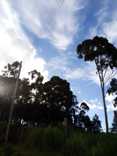 The image depicts a rural landscape in Bibirioni ward, Kenya, under a blue sky with scattered white clouds. Tall, dark green trees are silhouetted against the bright sky, forming a dense forest edge. A utility pole with multiple power lines is visible on the left side of the frame. In the foreground, a fence runs along the edge of a grassy area. The sun's rays are visible, emanating from behind the trees on the left. The location is likely a rural area due to the presence of dense vegetation and basic infrastructure.