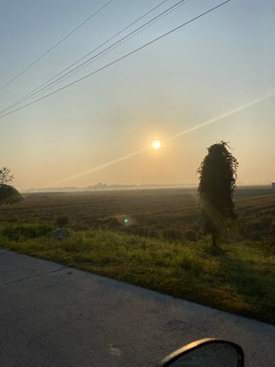 The image depicts a rural landscape at sunrise, likely in or near Sidorejo, Indonesia. A paved road runs along the bottom left of the frame, with grass and vegetation to its right. Beyond the roadside, a field of dry, harvested crops stretches towards a hazy horizon. A tall, leafy tree stands prominently in the mid-ground, casting a shadow. The sun is low in the sky, creating a warm, golden glow and a sunbeam that cuts across the scene. Power lines are visible against the pale blue sky. The atmosphere appears misty or hazy, characteristic of early morning in a tropical region. There are no people visible in the image, and no specific actions or interactions are depicted.