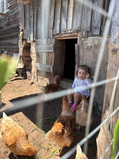 A young child, appearing to be a toddler, sits on a stone step in front of an open doorway of a weathered wooden structure, possibly a chicken coop, in a rural setting. The child is wearing a light-colored, patterned long-sleeved shirt and bright pink Crocs. A thin headband is on the child's curly hair, and the child is pointing their index finger upwards. Several brown and white chickens are present in the foreground and around the child, some pecking at the dirt. The ground is covered in dry soil and sparse green vegetation. The structure is made of rough-hewn logs and vertical wooden planks, showing signs of age and exposure to the elements. A fishing net is visible hanging from the side of the structure. The scene appears to be outdoors on a sunny day. The location is identified as Уральское, Russia.