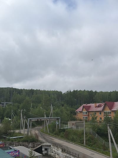 The image depicts an overcast day in Skovorodino, Russia. In the foreground, there's a concrete structure with a metal railing and stairs leading down. To the left, a portion of a building with a green roof is visible, along with a sign that reads "ЗОN". Beyond this, a road curves upwards, flanked by industrial-looking concrete supports holding up pipes. A dense forest of deciduous trees forms the mid-ground, with a cluster of two-story houses with red-tiled roofs nestled within the trees on the right side of the image. The sky is heavily clouded, with a few distant birds visible.