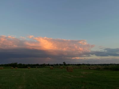 A wide, panoramic shot captures a rural landscape under a twilight sky. The foreground is dominated by a lush green field, dotted with several round hay bales scattered across its expanse. In the midground, a dense line of trees forms a dark, silhouetted horizon, with a few scattered buildings visible amongst the foliage, suggesting a small settlement. The sky above is a canvas of soft blues and pinks, with large, billowy clouds tinged with the warm hues of sunset. On the far right of the frame, a distant transmission tower is visible above the treeline. The scene is peaceful and serene, characteristic of the Russian countryside.