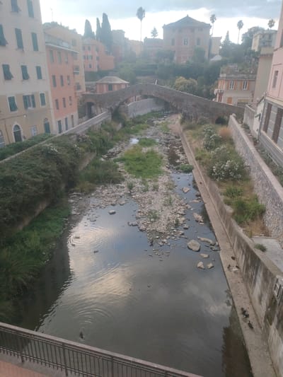 The image is an overhead view of a narrow, dry riverbed in Genoa, Italy. The riverbed is lined with concrete walls and filled with rocks and some sparse vegetation. Several ducks are visible in the shallow water towards the foreground. A stone arch bridge crosses the riverbed further back. The surrounding buildings are colorful, multi-story structures typical of Italian architecture. Lush green vegetation covers the slopes leading up to the buildings. The sky is overcast, suggesting a cloudy day.
