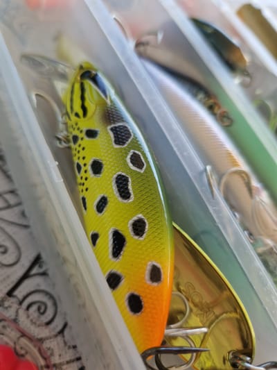 A close-up, angled shot captures a fishing lure in a tackle box. The lure is predominantly yellow-green with black spots and an orange tip. Other fishing lures, some blurred, are visible in the background within the plastic compartments of the box. The background is out of focus and does not provide any specific contextual information about the location. The image does not show any people or actions. The scene is indoors, likely in a home or retail setting, and the specific location of German, Bulgaria, cannot be determined from the visual information provided.