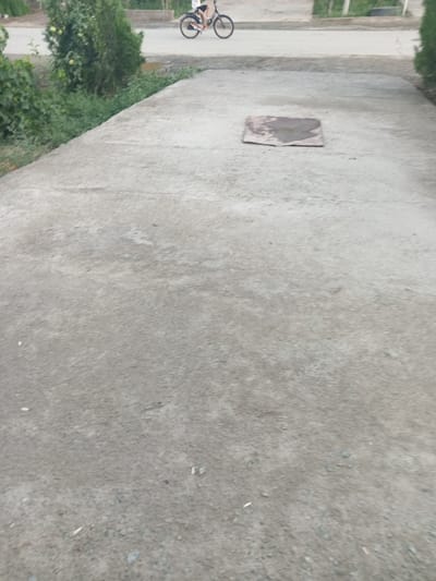 In Навруз, Uzbekistan, a concrete path runs diagonally across the frame from the bottom left to the top right. A person is riding a bicycle on a paved road in the upper portion of the image. The road is to the left of the concrete path and is bordered by green vegetation. On the concrete path, a square piece of cardboard is lying flat, with a dark, wet stain in its center. The overall lighting suggests an outdoor scene, likely during daylight hours.