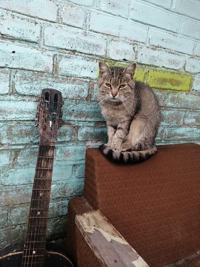 A tabby cat with green eyes sits on a brown upholstered surface against a teal and yellow brick wall. To the left of the cat, an old, dark-colored acoustic guitar is propped upright, leaning against the wall. The guitar appears weathered, with visible fret markers and rusted tuning pegs. The brick wall has a distressed texture, with peeling paint revealing underlying brick. The scene suggests an outdoor setting, possibly a backyard or alleyway, in a rural or semi-rural location. The composition is centered on the cat and the guitar, with the wall serving as a backdrop.
