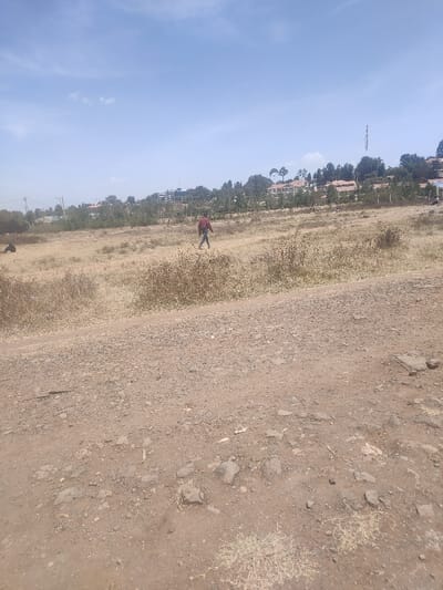 The image depicts an outdoor scene in Ngong ward, Kenya, under a clear blue sky with sparse white clouds. The foreground consists of a dry, unpaved dirt road composed of compacted soil, gravel, and scattered rocks. Beyond the road, a wide expanse of open, dry land with yellowish-brown grass and low, sparse shrubs extends towards the horizon.
One individual, dressed in a long-sleeved dark red shirt and dark trousers, is observed walking from left to right across this dry field in the mid-ground. To the far left in the background, another dark, indistinct figure is partially visible, appearing to be seated or crouching on the ground.
In the background, a cluster of green trees and various buildings, many featuring light-colored roofs, are discernible, indicating a developed area. A prominent tall, slender telecommunications tower stands on the right side of the distant background. Utility poles and power lines are faintly visible along the left horizon. The overall environment suggests dry, possibly arid or semi-arid, conditions during daylight hours.