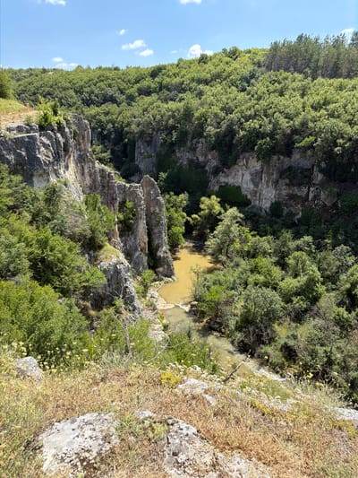 The image shows a view of the Emen Canyon in Emen, Bulgaria. The canyon is a deep gorge with steep, rocky walls covered in lush green vegetation. A river flows through the bottom of the canyon, its water a murky brown color. The sky is a clear blue with a few scattered white clouds. In the foreground, there are rocks and dry grass. On the left side of the canyon, on a grassy slope, three figures are visible, appearing to be walking.