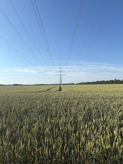 In a wide, flat field of ripening wheat, a tall, latticed power pylon stands prominently in the mid-ground, supporting multiple overhead power lines that stretch towards the horizon and disappear beyond the frame. The wheat stalks are densely packed, reaching a height of approximately one meter, with their heads beginning to turn a golden-yellow. A narrow, mown path cuts through the field, leading directly to the base of the pylon.
In the distance, a line of trees marks the horizon, and to the left, industrial buildings and structures are visible. The sky above is a clear, bright blue with a few wispy white clouds. The overall impression is one of rural agriculture under a bright, sunny sky, bisected by the infrastructure of electricity transmission.
The image was taken in Poing, Germany, a municipality located in Bavaria, known for its blend of residential areas, green spaces, and agricultural land. The presence of the power pylon suggests the proximity of a substation or a major power line route within or near the town's rural outskirts. The scene depicts a typical rural landscape found in the Bavarian countryside, where agricultural fields coexist with essential utility infrastructure.