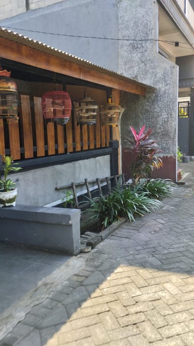 A sunlit, outdoor scene in Tanjungsari, Indonesia, shows a row of bird cages hanging under a corrugated metal awning supported by wooden beams. The cages are of various designs, including a red circular one and two hexagonal bamboo ones. Behind the cages is a vertical wooden fence. In front of the fence, a gray concrete wall is visible. To the right of the wall, a plant with reddish-purple leaves grows next to a cluster of long, green, grassy plants. A wooden ladder leans against the wall. In the foreground, a paved walkway made of interlocking rectangular gray bricks runs diagonally from the lower right to the middle left of the frame. The ground is partially covered in shadows, indicating a bright sunny day. A gray concrete planter box is positioned to the left of the scene.