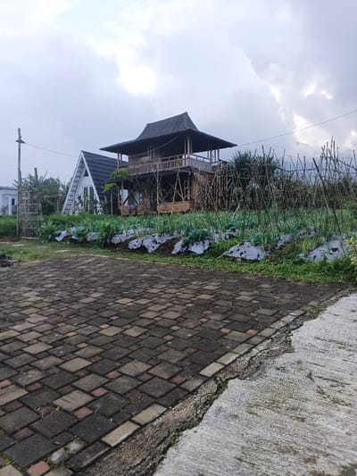 The image depicts an outdoor scene in Sarandi de Cuadra, Uruguay, under an overcast sky. In the foreground, a multi-toned paver driveway or patio, composed of rectangular and square blocks in shades of grey, brown, and reddish tones, extends from the left, bordering a cracked concrete slab on the right. Directly beyond the paved area, a cultivated garden features rows of green leafy plants, some with white plastic sheeting at their bases, alongside rows of taller green stalks. To the right of the garden, a dense arrangement of vertical bamboo poles or stakes forms a trellis-like support structure. In the mid-background, a prominent two-story structure with traditional Southeast Asian architectural elements is situated, featuring a dark, multi-tiered roof with upward-curving eaves and an open-air balcony on its upper level, supported by an exposed bamboo framework. To its left, a white A-frame house with a dark roof is visible, with a white ladder leaning against its left side. A partial view of a smaller white building and a utility pole are visible further to the left. No individuals or specific actions are depicted.