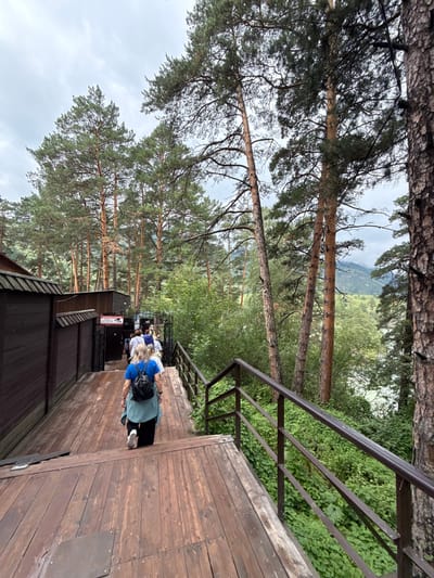 This image depicts a wooden walkway and stairs descending through a forest, with a group of people walking down. The walkway is made of weathered wooden planks and features a metal railing on the right side. Several tall pine trees with textured bark dominate the background, and lush green foliage lines the sides of the path. In the distance, a body of water and mountainous terrain are visible under a cloudy sky. A brown wooden building is partially visible on the left side of the walkway.

The location is the Tsekelsky Falls viewpoint in Chemal, Russia. The viewpoint offers access to the Chemal River and surrounding natural scenery. The walkway and stairs are part of the infrastructure designed to guide visitors to and from the riverbank and scenic spots. The people in the image appear to be tourists, dressed in casual clothing and carrying backpacks, suggesting they are exploring the natural attraction. The overall atmosphere is serene and natural, with the wooden structures blending into the forest environment.
