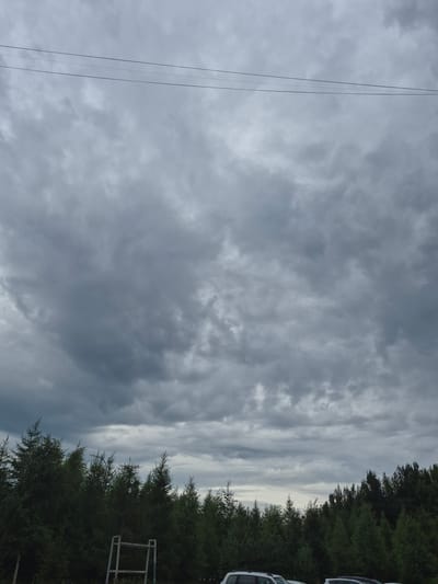 This image depicts an outdoor scene with a cloudy sky dominating the frame. The clouds appear dark and heavy, suggesting an overcast or potentially stormy weather condition. On the right side of the image, a dense line of dark green trees runs vertically. Partially visible amongst the trees on the far right are the tops of several vehicles, likely cars, adding a subtle man-made element to the natural landscape. A thin, black wire runs vertically along the left side of the image, possibly a power line or a utility cable. A simple metal structure, possibly a part of a fence or a frame, is also visible in the lower right section, peeking through the trees. The overall mood conveyed is somewhat somber, likely due to the heavy cloud cover and the lack of direct sunlight. The scene appears to be set in a location with ample greenery, as indicated by the prominent tree line. The presence of vehicles suggests a developed area, possibly a parking lot or a roadside. There is no visible text in the image.