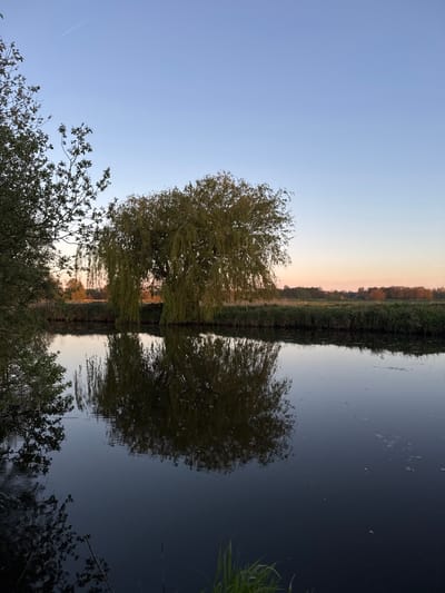 The image, initially oriented vertically, depicts a serene waterside landscape during either dawn or dusk in South Norfolk, United Kingdom. When viewed horizontally, the scene features a calm body of water, likely a river or canal, on the right, mirroring the sky and land.
A prominent, large tree with abundant foliage, possibly a willow given its drooping branches, stands on the left bank. Its entire form, including branches and leaves, is clearly reflected in the still, dark surface of the water, creating a strong sense of symmetry. Beyond this tree, the left bank is lined with a strip of dense green reeds and smaller trees or shrubs.
The horizon stretches across the middle of the image, separating the sky from a distant line of vegetation on the far bank. The sky transitions from a clear, light blue at the top to a gentle gradient of pale orange and pink hues along the horizon, characteristic of golden hour light. This soft, warm light is also reflected in the water, creating a blend of dark blues and lighter tones where the sky meets the distant land.
The water surface is mostly smooth and glassy, acting as a natural mirror, though some subtle, light-colored streaks or small disturbances are visible, particularly in the darker areas. There are no people, animals, or visible text in the image. The overall impression is one of peacefulness and natural beauty, captured in a tranquil moment.