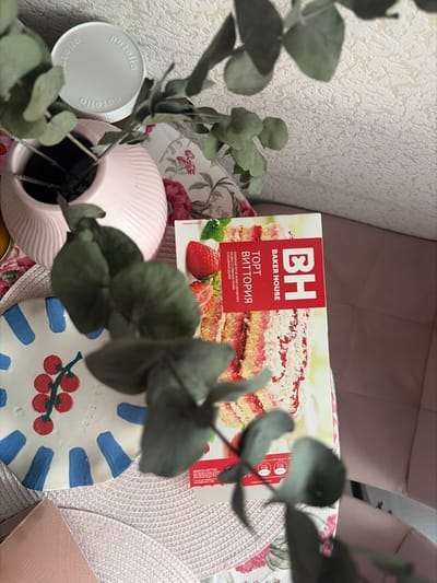 The image depicts an indoor scene in Novosaratovka, Russia, viewed from an overhead perspective. In the foreground, a leafy green branch, consistent with eucalyptus, extends from a light pink, spirally ribbed ceramic vase. A white Nutella brand lid is partially visible behind and to the left of the vase. The central item is a rectangular box for "ТОРТ ВИТТОРИЯ" (Vittoria Cake) by "BAKER HOUSE," predominantly red and white, displaying an image of a layered strawberry cake. To the lower left of the cake box, an irregularly shaped white ceramic plate or coaster is decorated with red berries on a green stem and several blue linear segments along its edge. These objects rest on a light-colored, possibly woven, placemat. Beneath and surrounding these items, a light-colored fabric with a red and pink floral pattern is visible. To the right of the cake box, a smooth, light pink, upholstered surface is present. The background shows a light-colored wall with a subtle textured pattern. No individuals are present, and no actions are depicted.
