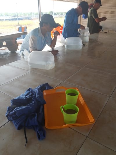 In Bukit Ketok, Indonesia, a scene unfolds on a tiled floor. Three individuals, two men and one person whose gender is not definitively discernible, are present. One man, wearing a blue polo shirt and a dark baseball cap, is seated at a table, writing on a piece of paper with a pen. Beside him are two large plastic bags filled with a clear liquid, likely water. Another man, dressed in a blue long-sleeved shirt and a dark cap, stands further down the table, handling a similar plastic bag containing liquid. A third individual, in a green t-shirt and a dark baseball cap, is also standing, seemingly engaged in an activity at the table. In the foreground, on an orange plastic tray, sit two bright green cups, one containing a dark liquid and a spoon. A crumpled blue garment lies on the floor near the tray. The environment appears to be an outdoor or semi-outdoor covered area, possibly a workshop or storage space, with a glimpse of vegetation and structures in the background.
