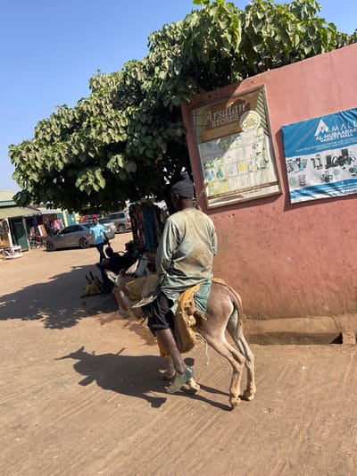 This image depicts an outdoor market scene in Samaru, Nigeria, under a clear, bright sky. In the foreground, a male individual, viewed from behind, rides a light brown donkey. The man wears a dark knitted cap, a light-colored long-sleeved shirt with visible stains on the back, and dark trousers, with one foot visible in a green slipper. He is seated on a simple saddle made of fabric, with a burlap-like sack slung over the donkey's side. The donkey casts a distinct shadow on the unpaved, light brown ground, indicating strong sunlight.
To the right, a reddish-brown wall features two commercial signs: a larger, framed sign for "Arsalan STORES" displaying various household and cosmetic products, and a smaller blue sign for "AL-MUBAARAK VARIETY MALL" advertising electronics and appliances, with contact details visible on both. A large, leafy green tree partially shades this area.
In the midground, under the tree's canopy, clothing items are displayed on racks, suggesting market stalls. Several other individuals are present; one man in a light blue shirt walks towards the left, while others are seated or standing further back. A bunch of yellow bananas rests on the ground near these figures. In the background, a silver sedan and other vehicles are parked or moving, with additional market structures visible further down the street.