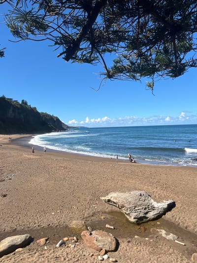 The image depicts a sunny day at a beach in Coalcliff, Australia, characterized by a clear blue sky with scattered white cumulus clouds along the horizon. In the foreground, dark, needle-leafed tree branches with visible bark overhang the top quarter of the frame, partially obscuring the sky. The immediate foreground features reddish-brown sand, a small, shallow stream flowing towards the ocean, and several rocks. A prominent, irregularly shaped, light-grey rock with eroded, porous surfaces sits to the right of the stream, while smaller, smooth pebbles and a reddish-brown rock are visible to its left.
The midground displays a wide expanse of reddish-brown sandy beach where ocean waves, exhibiting white crests, break and recede. Several individuals are present on the beach and in the water. On the left side of the beach, multiple small figures are walking along the sand near the water's edge. Towards the right, a small group, including at least one adult and one child, are positioned closer to the breaking waves. Further out in the ocean, dark shapes indicate the presence of swimmers or surfers.
In the background, a steep, dark-colored cliff face covered with green vegetation rises along the left side of the beach and extends into the distance. Structures, possibly houses, are visible on the clifftop. The coastline curves gently to the right, meeting the distant horizon.