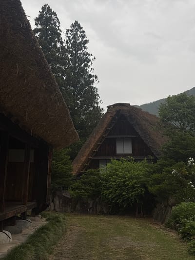 This image captures a rural scene in Shirakawa, Japan, featuring two traditional Japanese gassho-zukuri style houses with steep thatched roofs under an overcast sky. In the foreground on the left, a partial view of a dark wooden house is visible, showing its side wall and a significant portion of its thick, brown thatched roof sloping down from the upper left. Further into the midground and to the right, a second, complete gassho-zukuri house stands, characterized by its distinct A-frame structure and a large, weathered thatched roof that culminates in a prominent ridge. This second house has dark wooden siding with a central upper-story window featuring two white panes, and its lower section is partially obscured by dense green bushes and trees. Tall, dark green conifer trees dominate the background between and behind the houses, extending towards a hazy, verdant mountain range visible on the right horizon. A narrow, manicured grass pathway or lawn separates the houses in the foreground, bordered by a low line of green groundcover and rough-hewn stone retaining walls. No individuals are present in the scene.