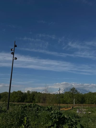 The image depicts a scenic landscape with a prominent pole supporting multiple black lights, angled to the right, against a backdrop of a bright blue sky with wispy white clouds. In the mid-ground, a wooden fence runs horizontally, bordered by lush green trees and dense vegetation. Beyond the trees, snow-capped mountains rise majestically, partially obscured by clouds. The lighting suggests it is daytime, likely with fair weather. The scene appears to be an outdoor recreational area or park, possibly near a natural landmark. There is no visible text in the image.