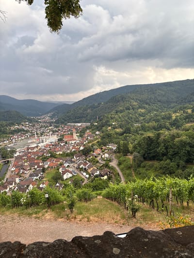 This is a vertical, high-angle, eye-level shot of the town of Gernsbach, Germany, nestled in a valley. The town is characterized by its red-tiled roofs and appears to be densely populated. A winding road is visible, with cars parked along its sides. A river or canal flows through the town. The town is surrounded by lush green hills covered in dense trees. In the foreground, to the right, is a stone structure and a vineyard with rows of grapevines. The sky is partly cloudy with dramatic, dark clouds on the left, suggesting impending rain or a storm. The sun appears to be breaking through the clouds in some areas, creating a bright contrast. The time of day is likely late afternoon or early evening. No people are clearly visible, but the presence of cars indicates human activity. The overall mood is one of natural beauty with a hint of dramatic weather. There is a small white sign with text visible in the vineyard, but the text is illegible.