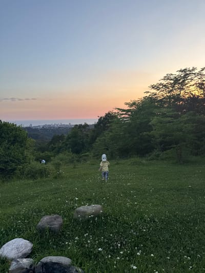 The image depicts a scenic overlook of the city of Verkhniy Yurt, Russia, at dusk. A young child wearing a yellow t-shirt and a white hat with a face design is walking away from the camera into a grassy field dotted with small white flowers. In the background, a city skyline with numerous buildings is visible along the coast of a large body of water. Lush green trees line the hilltops and the foreground. Several large rocks are scattered in the lower left portion of the frame. The sky displays a gradient of soft blues and oranges, indicative of a sunset. Two other figures can be seen in the middle ground, partially obscured by foliage.