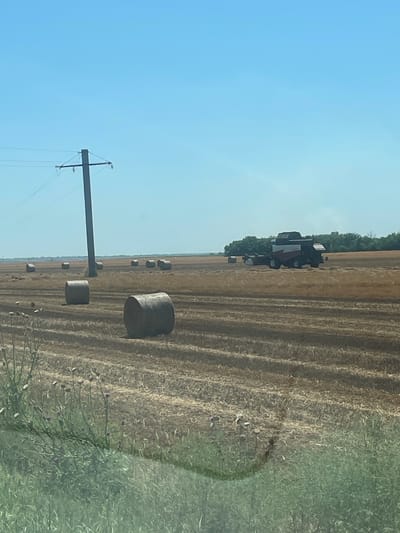 In the city of Polivyanka, Russia, a combine harvester is actively working in a harvested field, leaving behind a pattern of stubble and straw. Several large, cylindrical bales of hay are scattered across the field, indicating recent agricultural activity. A solitary utility pole with power lines stands tall against a clear, blue sky. In the foreground, a patch of green grass and some thistles with purple blooms add a touch of natural detail to the scene. The horizon is marked by a line of trees in the distance, further defining the rural landscape.
