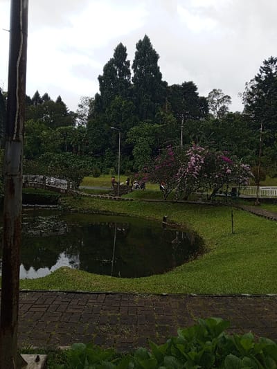 The image displays a tranquil park or garden scene in Khe Sanh Commune, Vietnam, under an overcast sky. In the immediate foreground, a dark, brick-paved path provides a base, partially obscured by green foliage. Directly beyond, a dark, still pond occupies the left and central midground, its surface subtly reflecting the muted sky and surrounding greenery. The pond's edge is lined with neatly trimmed green grass.
A paved pathway, lighter in color than the foreground bricks, curves around the pond in the midground. To the left, a small, arching bridge with white railings spans a section of water, connecting different parts of the path. On the path near the bridge, several individuals (approximately 3-5) are visible, either standing or casually moving. A cluster of vibrant pink and purple flowering bushes adds a splash of color to the midground, with a tall, slender streetlamp positioned nearby. Behind these bushes, a few motorcycles are parked along the path. On the far right, a white-railed fence can be seen bordering another section of the park.
The background is dominated by a dense array of trees, featuring tall, dark green conifers with distinctive conical shapes, interspersed with other lush, leafy trees. A rusted utility pole partially obstructs the view on the far left. The sky is uniformly grey and cloudy, suggesting a cool, diffused daylight without direct sunlight. The scene conveys a sense of peaceful natural beauty with understated human presence. No discernible text is visible within the image.