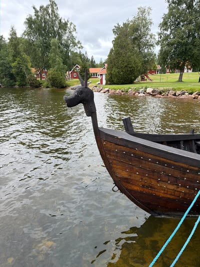 An ornate wooden boat with a carved dragon head prow is moored on a calm body of water. The boat is constructed of dark, weathered wood planks fastened with visible rivets. A bright blue rope is tied to the boat and trails into the water. In the background, the shore is lined with rocks and lush green grass. Several red buildings with white trim and red roofs are visible amongst tall trees. A playground with a slide can also be seen. The sky is overcast. This scene is likely at a waterfront location in the city of Aneby, Sweden, given the architectural style of the buildings and the natural landscape.