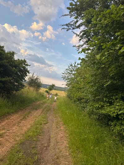 Three young figures are walking away from the viewer on a dirt path in a rural, outdoor setting. The figure on the right appears to be on a small bicycle. They are surrounded by tall green grass on either side of the path. To the right of the path, a dense line of lush green trees and foliage creates a visual boundary. To the left, the landscape opens up to a field with some scattered trees and rolling hills in the distance. The sky above is blue with scattered white and golden clouds, suggesting late afternoon or early evening light. The location is identified as Beltershain, Germany.
