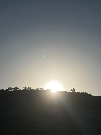 This is a vertical, full-frame photograph taken at sunrise in Dam Camp, Nigeria. The sun is a bright, hazy orb low on the horizon, partially obscured by the silhouetted crest of a hill. The hill is covered in dark vegetation, with the tops of scattered trees forming a jagged line against the sky. The sky itself transitions from a pale blue at the top of the frame to a bright, washed-out yellow near the sun. There is a faint green lens flare visible in the upper right quadrant of the image. The foreground is completely dark, with no discernible features. There are no people or animals visible in the scene.