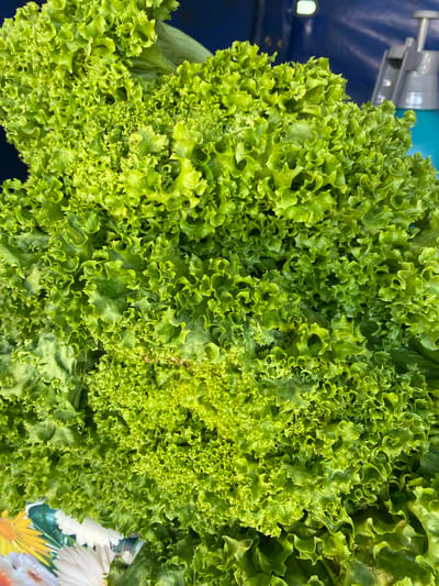 This is a close-up, overhead shot of a large head of bright green, ruffled lettuce. The leaves are curly and frilly, with a vibrant, fresh appearance. The lettuce fills most of the frame, with some hints of a dark blue background and a colorful floral pattern visible at the bottom right. The lighting suggests it's daytime, possibly outdoors at a market. No people are visible. The setting appears to be a market stall in Novorossiysk, Russia, given the context provided. There is no visible text in the image.