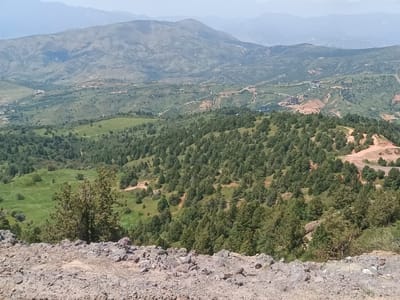 The image displays a panoramic view of a mountainous landscape in the vicinity of Nurekata, Uzbekistan. In the foreground, a rocky, barren terrain with scattered small stones and pebbles dominates the bottom portion of the frame. Beyond this, the scene transitions into a lush, densely forested hillside covered with numerous coniferous trees of varying sizes. These trees create a textured green carpet that extends across the midground.
Further into the distance, the landscape opens up to reveal rolling hills interspersed with patches of green meadows and terraced agricultural fields. A winding road is visible, cutting through the terrain and leading towards a cluster of modern buildings, possibly a university campus or residential complex, situated on the slopes. These structures, characterized by their geometric designs and light-colored facades, stand out against the natural backdrop.
The background is characterized by hazy, layered mountains that fade into the pale sky, suggesting a significant distance and possibly atmospheric conditions like mist or dust. The overall scene depicts a rural or semi-rural setting where natural wilderness meets developing infrastructure. There are no people or animals visible in the image.