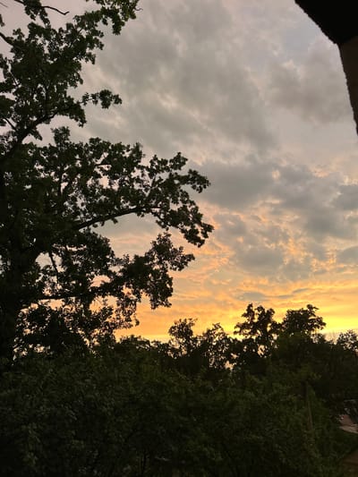 The image captures a dramatic sky at sunset, with the warm hues of orange and yellow illuminating scattered clouds. Silhouetted against this vibrant sky are the dark forms of trees, their branches reaching upwards. The perspective is from below, looking up into the canopy and the sky beyond. Some of the trees appear to be deciduous, with dense foliage, while others are more sparse. On the far right, a building or structure is partially visible, obscured by the trees. The scene evokes a sense of the end of the day, with a slightly overcast sky but the sun still managing to break through with brilliant color. The overall mood is peaceful and natural, with a hint of the wildness of untamed trees against the tamed structure. The time of day is clearly sunset, and the weather appears to be clear enough for the sun to be visible and create this colorful display.