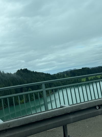 This image, taken from a bridge, captures an expansive natural landscape under an overcast sky. In the foreground, a sturdy, grey metal bridge railing is prominently featured on the right side, extending horizontally across the lower portion of the frame. Through the vertical bars of the railing, a body of calm, greenish-blue water is visible, likely a river or lake, reflecting the muted light.

Beyond the water, a dense, dark green forest line stretches across the middle ground, indicating a forested bank or hillside. In some areas, lighter green patches of grass or open land are discernible between the water's edge and the start of the forest. The distant horizon reveals faint, layered hills or mountains, partially obscured by the extensive cloudy sky. The sky itself is a soft, light blue-grey, dominated by broad, diffused clouds, suggesting an overcast or muted daytime. A small section of paved road or sidewalk, dark grey and textured, is visible at the far right edge, reinforcing the viewpoint from an elevated structure like a bridge. The overall scene conveys a tranquil, natural environment, possibly in a valley or gorge, consistent with locations in areas like Schongau, Germany. There is no visible text or explicit activity taking place.