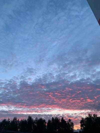 A wide-angle, vertical outdoor photograph captures a dramatic sunset over the city of Brovary, Ukraine. The sky is filled with a dense, textured layer of clouds, particularly in the lower half of the frame. These clouds are illuminated from below by the setting sun, creating a vibrant spectacle of pink and red hues. Higher in the sky, the clouds transition to shades of blue and grey, with a consistent, uniform texture. The very top edge of the frame shows a sliver of a building, a light grey structure with a narrow red trim. Silhouetted against the colorful sky at the bottom of the image is a dark line of trees, their foliage dense and indistinct. Below the trees, a dark, blurred mass, possibly the top of a building or structures, is visible. The overall impression is of a striking natural phenomenon occurring in an urban or semi-urban setting.