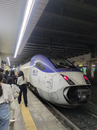 A high-speed train, identified as a KTX Sancheon (likely the 117 series), is situated at a station platform. The platform is crowded with passengers waiting to board. The scene appears to be indoors, likely in a subway station. There's a yellow tactile paving for the visually impaired near the edge of the platform. Based on the KTX Sancheon train, the location is potentially Daegu, South Korea, which is on the KTX high-speed rail line. The train is white and blue, and it is numbered '117'. The nose of the train is visible. Passengers are standing near the edge of the platform waiting to board. Some passengers have luggage with them. The platform appears to be concrete. The station has fluorescent lighting.