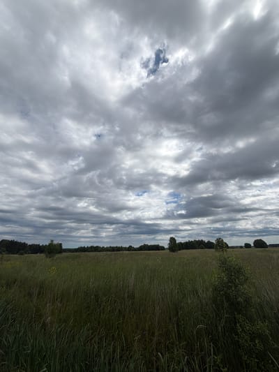 An overcast sky dominates the upper portion of the image, with thick, grey clouds interspersed with patches of lighter sky and occasional glimpses of blue. The lower half of the image depicts a wide, open field of tall, green grass. A line of trees forms a dark horizon in the distance, separating the field from the sky. The overall impression is of a natural, rural landscape under a cloudy sky, likely in a location such as Tiskre, Estonia, given the typical vegetation and scenery.