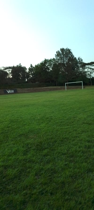 A soccer field with a white goal stands on the right side against a backdrop of trees. A low brick wall separates the field from the trees, with a black banner displaying "Vapor" to the left. The green field is prominent, taking up most of the frame. The sky above is pale and clear. The image seems to be taken at dusk, indicated by the deep shadows on the field.