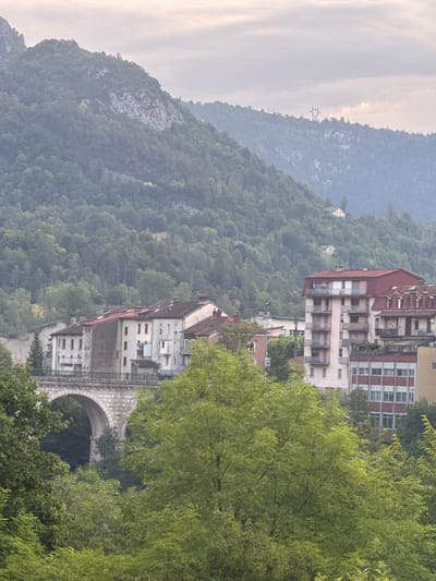 The image captures a view of the city of Saint-Claude, France, with a focus on its natural surroundings and urban architecture. In the foreground, lush green trees dominate the lower portion of the frame, their leaves creating a textured canopy. Behind the trees, a large stone viaduct with a prominent arch spans across a valley, a testament to the region's infrastructure.
Further back, several multi-story buildings are visible, some with red tiled roofs and others with lighter facades. These buildings are nestled against a steep, forested mountainside that rises dramatically in the background. The mountains are covered in dense green vegetation, with patches of rocky outcrops visible on the slopes. The sky above is overcast, with soft, diffused light suggesting either early morning or late evening. In the distance, on the crest of a hill, a small white house is perched amidst the trees, and further to the right, a transmission tower stands against the hazy sky. The overall scene conveys a sense of a town integrated with its mountainous environment.