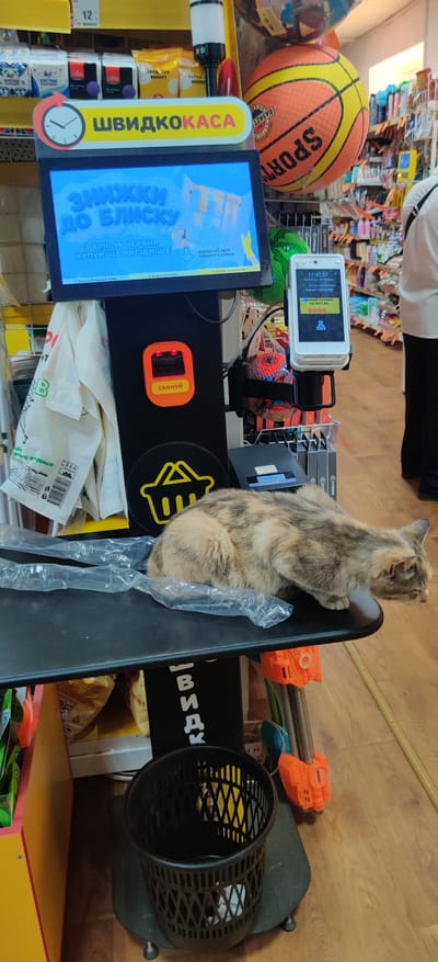 In Kolomak, Ukraine, a calico cat is perched on a black shelf in front of a self-checkout station. The station features a digital display showing a promotion for discounts, a scanner, and a payment terminal. The cat appears to be resting, with its body curled and its head turned to the side. The environment suggests a retail setting, possibly a supermarket or a convenience store, with various products and shelving visible in the background. A basketball is also present, adding a touch of sporty decor.