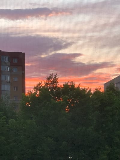 The image captures a sky with vivid sunset colors, predominantly pinks and oranges, streaked across by thin clouds. The sky is viewed through a fine mesh, possibly a window screen or netting. On the right side of the frame, lush green foliage of a tree partially obscures the view, with some of the sunset light filtering through its leaves, creating a warm glow. Below the sky and tree, a multi-story brick building is visible, featuring multiple windows and air conditioning units. The building appears to be an apartment complex. The scene suggests a residential setting, likely in a city or town, given the building's architecture. The lighting indicates it is either early morning or late evening, with the sunset colors being the most prominent feature of the sky. There is no visible text in the image. The overall mood is peaceful and serene, evoked by the beautiful sky and the quietude of the residential setting.