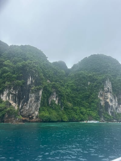 In Haad Hin Khom, Thailand, the image captures a coastal landscape under an overcast sky. Dominating the frame are steep, verdant cliffs covered in lush green foliage. The cliffs are characterized by rough, textured rock faces, with prominent vertical streaks. At the base of the cliffs, the turquoise ocean water is calm, with a gentle ripple effect on the surface. Several boats, including a white and blue passenger boat, are visible anchored near the shore. The water transitions from a lighter turquoise near the shore to a deeper blue further out. The overall scene conveys a sense of natural grandeur and tranquility, despite the muted lighting conditions.