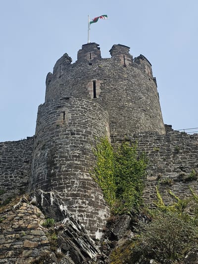 A low-angle, rotated, outdoor shot depicts a stone tower with the Welsh flag atop. The tower is constructed of dark gray stones, featuring narrow slits along its upper portion. Green vegetation grows on the side of the tower where it meets the adjacent stone wall. Below the tower, the wall extends downwards at an angle, revealing layers of stone and rock. The sky is a pale blue. This is Conwy Castle in Llandudno Junction, United Kingdom.