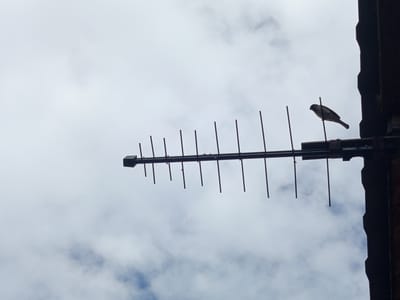 A bird is perched on a television antenna against a cloudy sky in Kenjekol, Kazakhstan. The antenna is made of dark metal bars and is mounted on a building, part of which is visible on the right side of the frame. The bird is silhouetted against the sky and appears to be a sparrow. The sky is filled with white clouds.