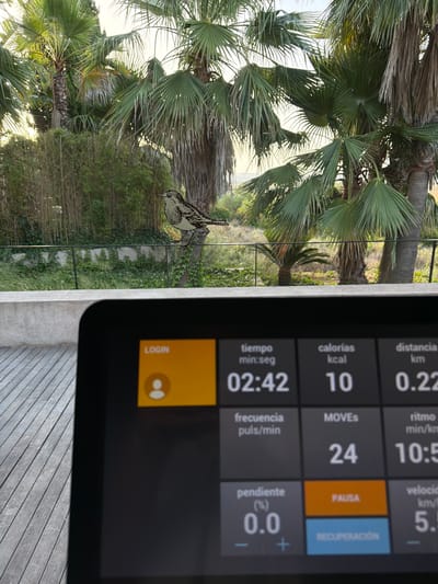 This is a horizontal, eye-level shot of a tablet screen displaying fitness data, angled to show a tropical outdoor scene in the background. The tablet, positioned on the right side of the frame, has a dark gray interface with white text and orange and blue accents. The screen displays metrics such as "tiempo" (time) at 02:42, "calorías" (calories) at 10, "distancia" (distance) at 0.22 km, "MOVES" at 24, "ritmo" (pace) at 10:5 min/km, "frecuencia" (frequency) puls/min, "pendiente" (incline) at 0.0%, and "velocidad" (speed) at 5.1 km/h. Buttons labeled "LOGIN", "PAUSA" (pause), and "RECUPERACIÓN" (recovery) are visible.

The background is a lush, green landscape with palm trees and dense foliage, suggesting a warm climate. Sunlight filters through the palm fronds, indicating it is likely daytime, possibly morning or late afternoon due to the soft lighting. A small bird, rendered in a sketch-like style, is perched on what appears to be a glass surface in front of the palm trees, its reflection also visible. The overall impression is a blend of technology and nature, possibly capturing an outdoor workout session. The text "Montuïri, Spain" suggests a specific location for this scene.
