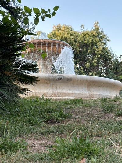 The image captures a close-up, vertical view of a stone fountain with water cascading over its rim. The fountain appears to be made of a light-colored, possibly travertine stone, with visible water stains and a textured surface. The water is in motion, creating a dynamic spray. Surrounding the fountain are lush green plants, including palm fronds in the foreground and other leafy vegetation. In the background, a large tree with green foliage and some lighter-colored blossoms or new leaves is visible against a clear, pale blue sky. The setting suggests an outdoor environment, likely a park or garden. The lighting indicates it is daytime, with the sky suggesting a bright day. The overall impression is one of a serene, natural scene with a man-made element. There is no visible text in the image. The perspective is from a low angle, looking upwards towards the sky and the top of the fountain. The orientation of the image is vertical.