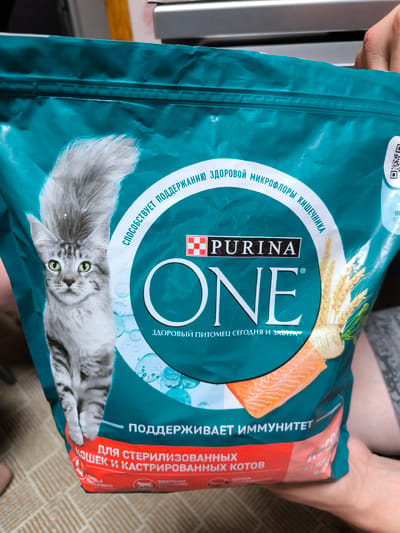 The image shows a close-up of a teal-colored bag of Purina ONE cat food. The bag features a prominent illustration of a Maine Coon cat on the left side, with its tail extending upwards. The Purina logo and the product name "ONE" are displayed in white text on the bag. Text in Russian indicates that the food is for sterilized and castrated cats and supports immunity and healthy digestion. A piece of salmon and wheat stalks are also depicted on the bag, suggesting ingredients. The bag is being held by a person whose hand is partially visible at the top right, and another person's legs are visible in the lower left. The background is out of focus, but appears to be an indoor setting with carpeting. There is no visible indication of the city of Gal'chino, Russia, in the image.