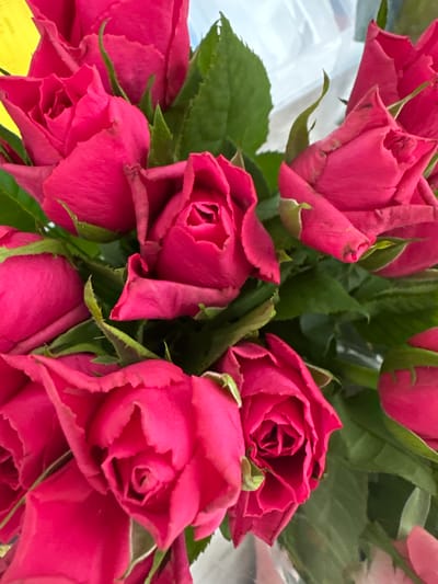 This media file captures a close-up, overhead view of a bouquet of vibrant pink roses. The roses are the primary subject, with several blooms in various stages of opening, showcasing their layered petals. Lush green leaves and thorny stems are visible, intertwined with the flowers. The background is blurred, with hints of white and yellow, possibly indicating wrapping or a surface beneath the bouquet.

There is no discernible activity or event taking place; the image appears to be a still-life composition focused on the beauty of the roses. Notable details include the rich, saturated color of the petals and the intricate texture of the rose blossoms. The lighting suggests it is daytime, but no specific time or weather conditions can be determined. There are no visible text elements in the image. The location context provided, Moortown, Ireland, is not directly inferable from the visual content of the image itself.