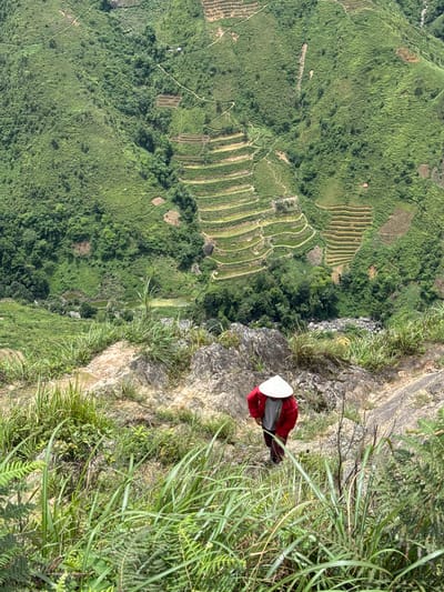 An overhead shot shows a person wearing a conical hat and a red jacket walking on a rocky mountain trail in Bắc Yên, Vietnam. The person is facing away from the camera and is surrounded by lush green grass and ferns. In the background, a terraced mountain landscape with rice paddies is visible. The sky is bright and overcast.